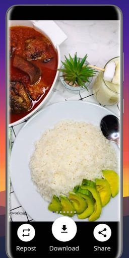 Insta Pro Downloader