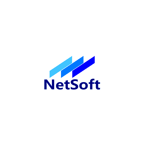 B2B Netsoft logo