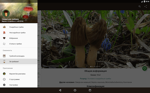 Справочник грибника Screenshot