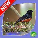 Super Master Kicau Murai icon