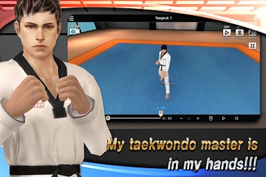 Taekwondo Poomsae Master