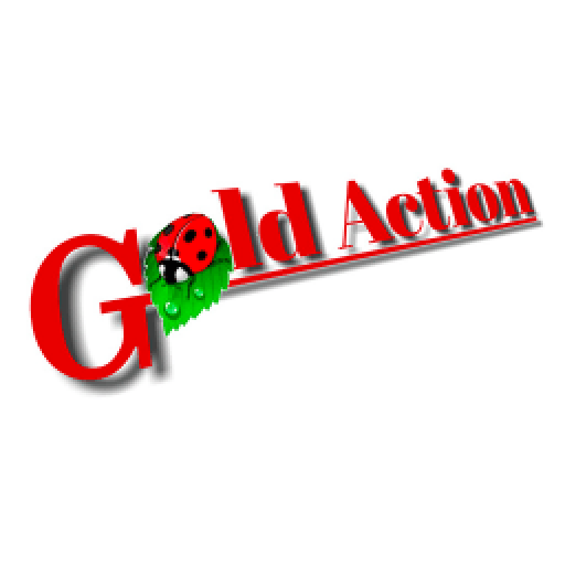 Gold Action 1.3 Icon