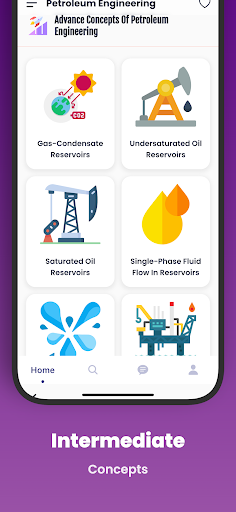 Screenshot of Petroleum Engineering (Pro)