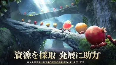 ザ アンツ アンダーグラウンド キングダム Apps On Google Play