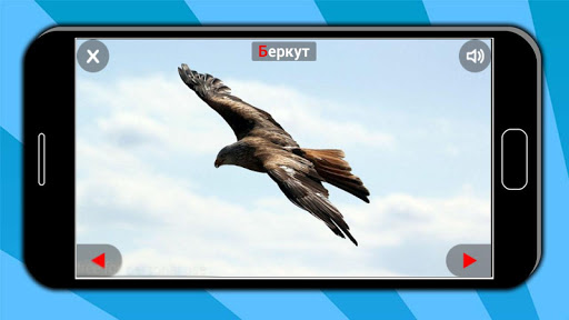 Звуки животных для детей Screen 2