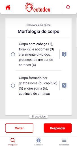 VetorDex Screen 2