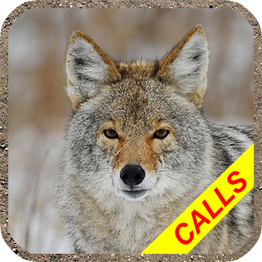 Coyote hunting calls Pro: coyo 3.1 Icon