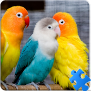 Birds Jigsaw Puzzle + LWP app icon