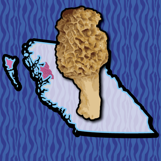 Haida Gwaii Mushroom Forager logo