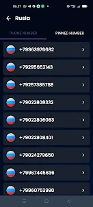 Russian Phone Number