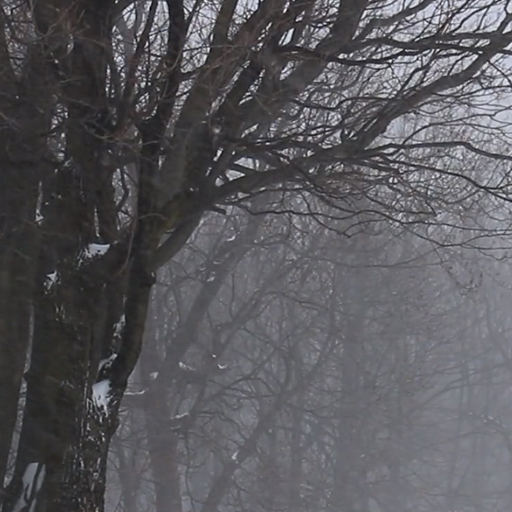 Fondo pantalla tormenta nieve Descarga en Windows