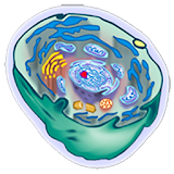 Cell icon