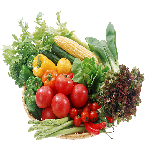 Gujarat Vegetable Price logo
