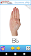screenshot of ASL American Sign Language