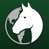Global Stallions icon