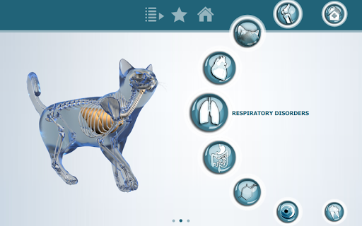 VisioCare Consult Screen 2