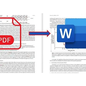 Convertisseur PDF en Word