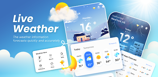 Weather Forecast: Live Radar