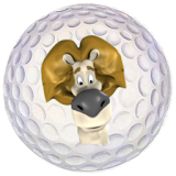 Birdi Golf Range Finder icon