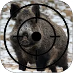 Cover Image of 下载 Wild Boar Calls  APK