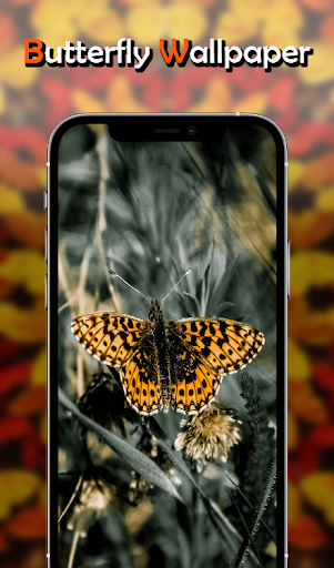 Butterfly Wallpapers Screen 3