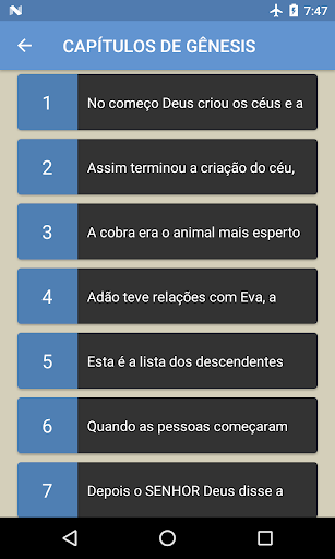 Bíblia em áudio Screen 2