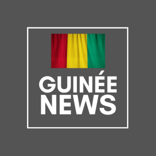 Guineenews-Beta logo