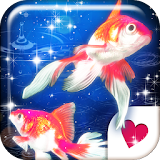 Cute wallpaper★Shiny Goldfish icon