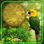 Cover Image of Скачать Jungles Birds Clock  APK
