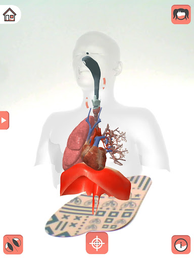 Body planet - Amparo Screen 3