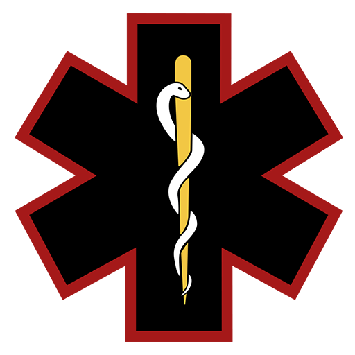 NOEMS PeerConnect logo