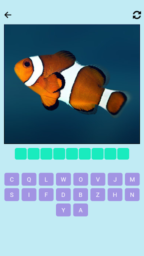 Android application Guess the fish screenshort