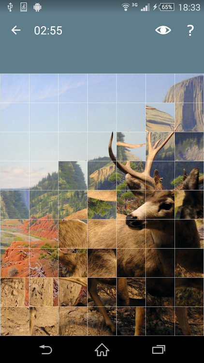 Jigsaw Puzzle: Animals - JPA-2.5.3 - (Android)