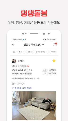 가정집 펫시터 방문탁묘 산책 캣시터 애견호텔 자격증. Screen 3