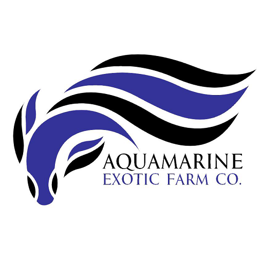 AquaMarine Exotic logo