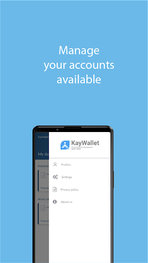 KayWallet Screen 3