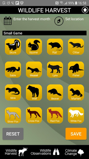 CTA Wildlife Screen 3