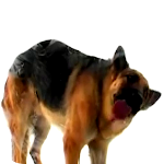 Cover Image of ดาวน์โหลด Dog Licks Screen Wallpaper  APK