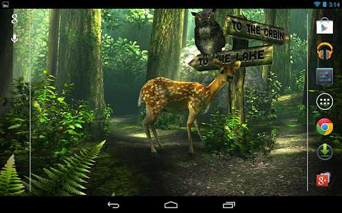 Forest HD Screenshot