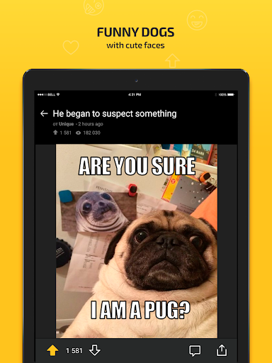 ForFun - funny memes jokes G