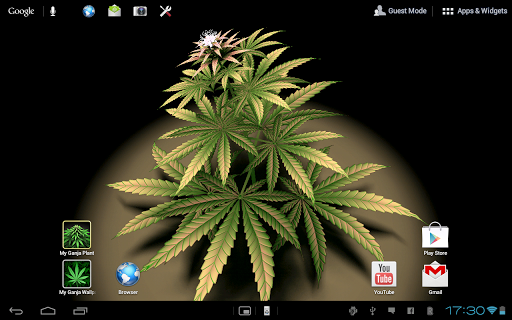 Download My Ganja Plant Live Wallpaper for Android - My Ganja Plant Live  Wallpaper APK Download 
