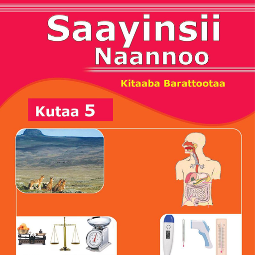 Saayinsii Naannoo Kutaa 5ffaa logo