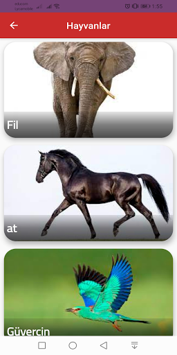 Android application learn turkish for beginners screenshort