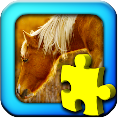 Icon image
