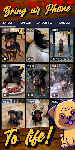 rottweiler wallpaper Screenshot 2 - AppWisp.com
