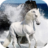 White Horse Live Wallpaper icon