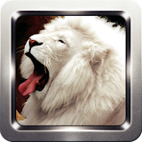 White Lion Wallpapers icon