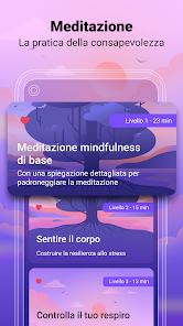 Immagine screenshot