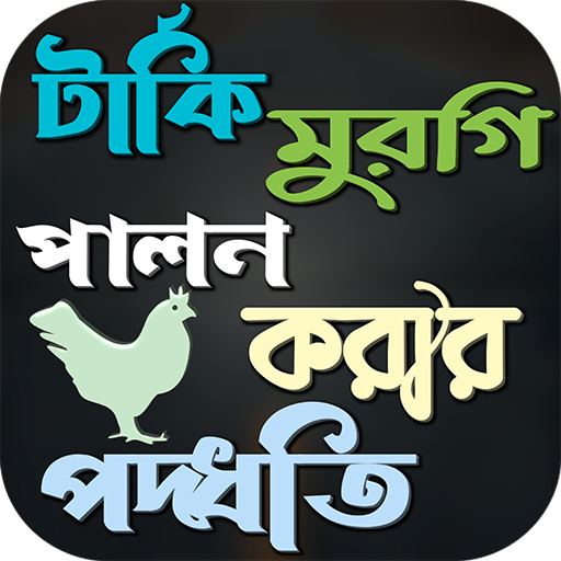 টার্কি মুরগি পালন করার পদ্ধতি