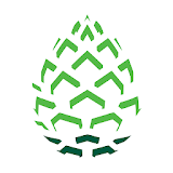Pinecone Mobile App icon